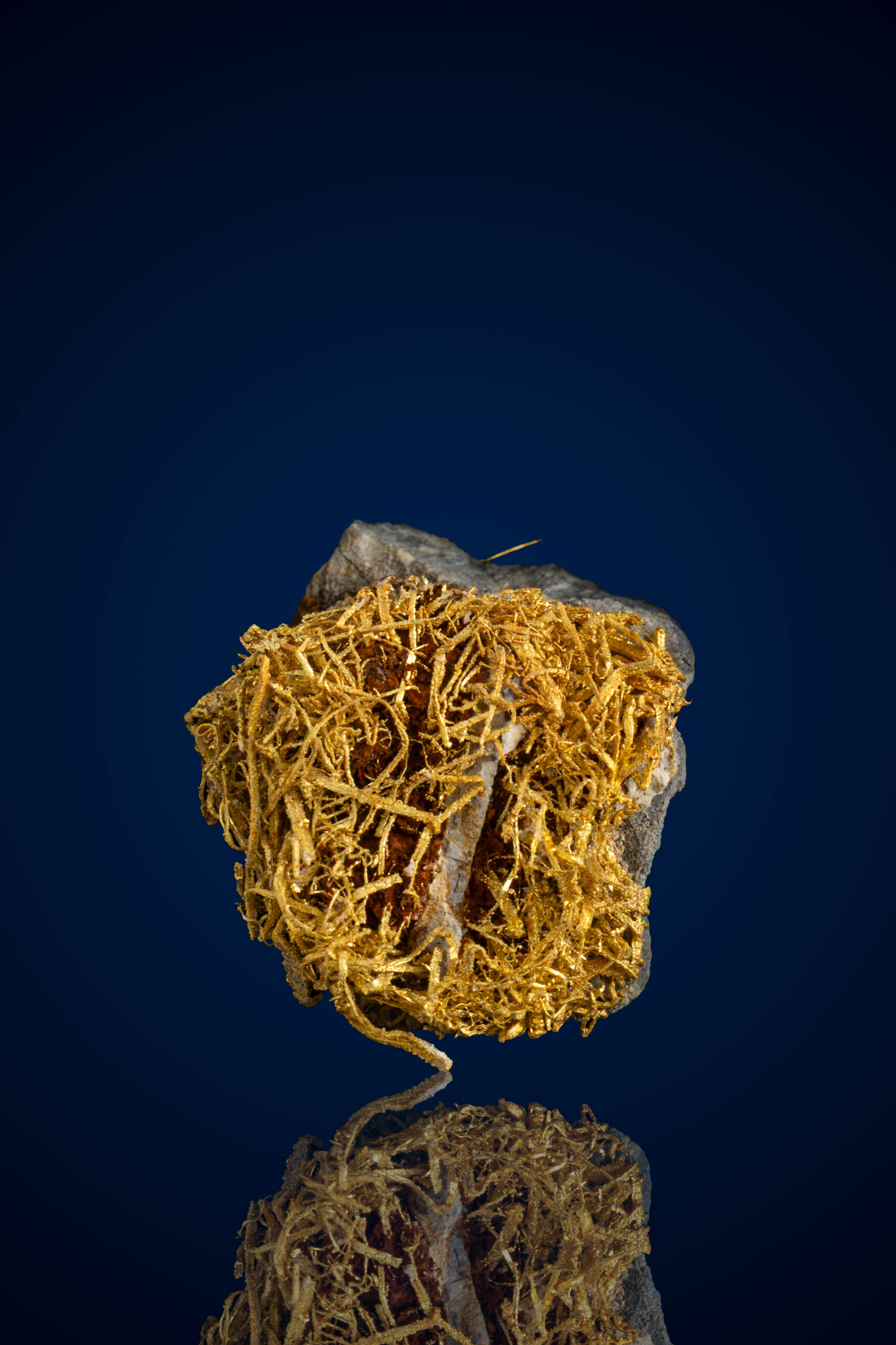 (image for) Striking, Delicate "Nest" Natural Gold Specimen with Rock - Farncomb Hill, CO - 3.21 grams